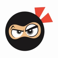 Ninja VPN: Online Security