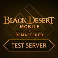 BDM Test Server
