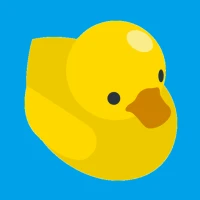 Ducks Duck