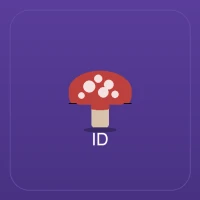 ShroomID - Mushroom Identifier