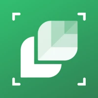 Plant Identifier: LeafSnap